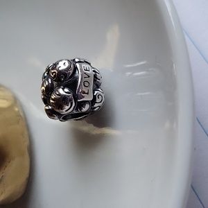 Pandora Love & Family charm